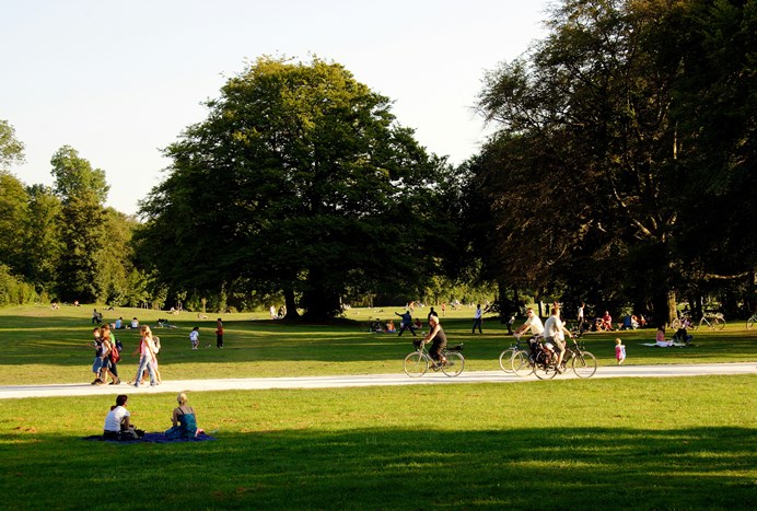 Taman